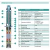 Насос свердловинний SHIMGE 4SE(m) 2/8T-0.37 кВт, Н 58(38)м, Q 55(40)л/хв, Ø96 мм, (кабель 30 м)