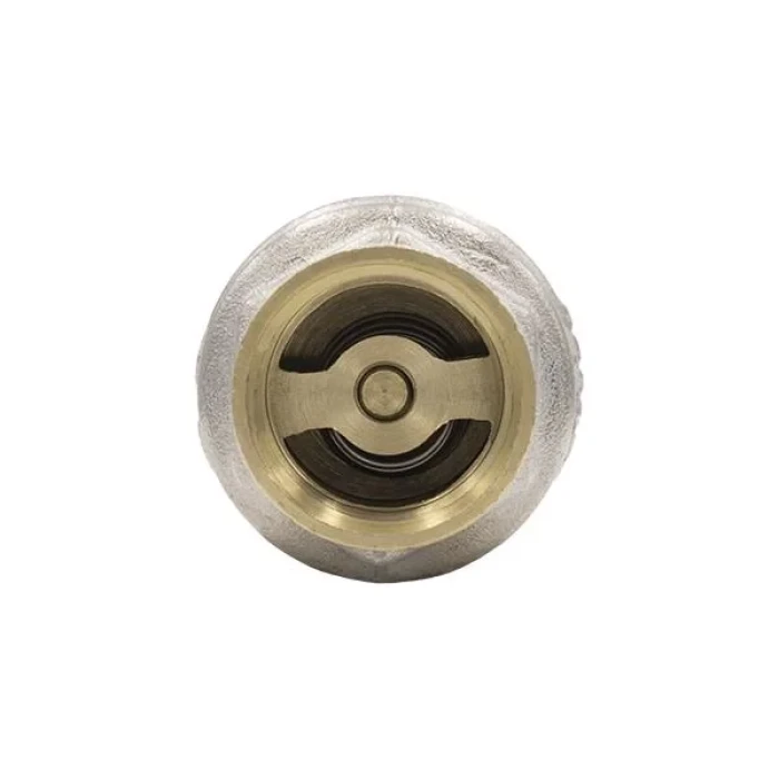 Клапан обратный 3/4   ТМ RAFTEC