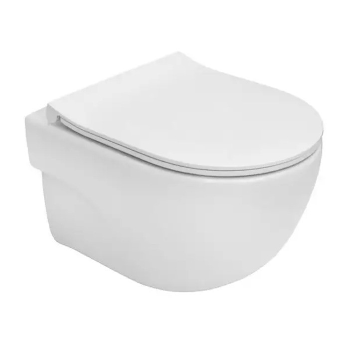 Комплект: унитаз подвесной ROCA MERIDIAN A34H242000 Rimless 48см, с сиденьем slim soft-close + монтажный элемент GEBERIT DUOFIX 458.126.00.1 Basic 112см, со смывным бачком, без клавиши