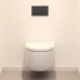Клавиша для инсталяции унитаза Geberit DELTA 50 двойной смыв пластик черный матовый