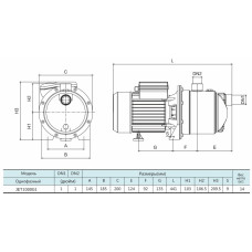 Станція JET 1000G1 (1.1кВт, 90л/мин. 48 м) SHIMGE+бак 24л 