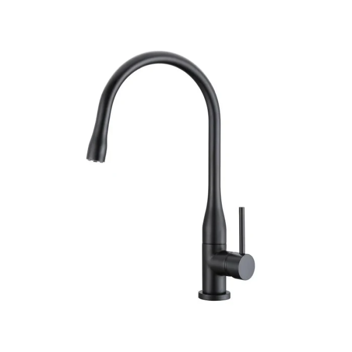 Смеситель для кухни ASIGNATURA Delicate 80548602, с изогнутым изливом, черный матовый Смеситель для кухни ASIGNATURA Delicate 80548602, с изогнутым изливом, черный матовый