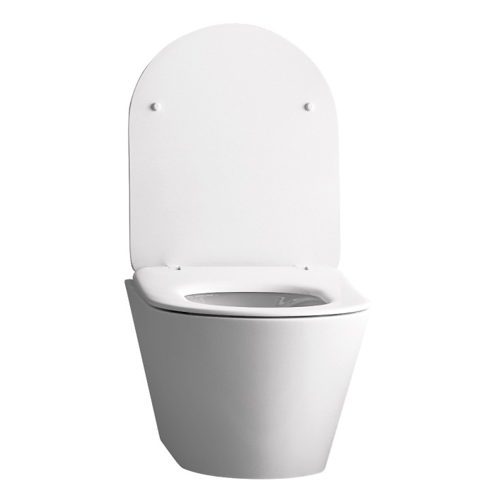 AIVA Rimless 530*355 *420 мм підвісний унітаз з сидінням Slim slow-closing