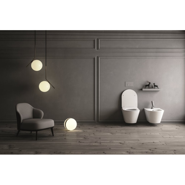 AIVA Rimless 530*355 *420  мм унитаз подвесной с сидением Slim slow-closing