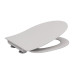 VICTORIA Rimless унитаз подвесной с крышкой slim slow-closing