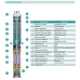 Насос свердловинний SHIMGE 4SP(m) 10/14-2.2 кВт, Н90(64)м, Q210(150) л/хв, Ø 96мм