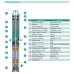 Насос свердловинний SHIMGE 4SP(m) 4/14-1.1 кВт, Н104(76)м, Q100(60) л/хв, Ø96 мм, (кабель 45 м)