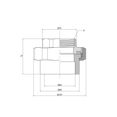 Американка из полипропилена Thermo Alliance 63х2" ВР