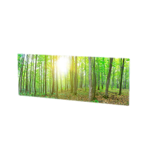Обігрівач склокерамічний HGlass IGH 4080 F Basic
