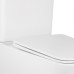 Унітаз-компакт Qtap Tern безобідковий з сидінням Soft-close QT17222093ARW