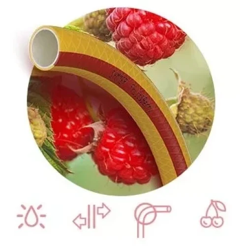 Шланг FRUIT+BERRY Ø 1/2" 30м, 3х сл. (жовтий з червоною смугою) (кратно 30м) {30} (цена за метр)