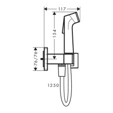 HANSGROHE E гігієнічний душ  1jet EcoSmart, зі шлангом 1,25 м та тримачем, хром